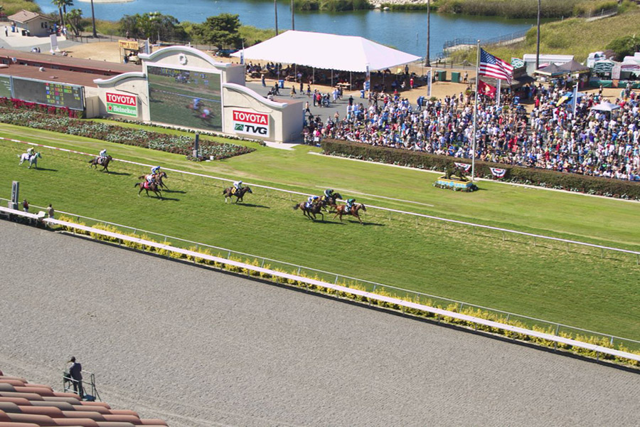 View of the Track From Il Palio