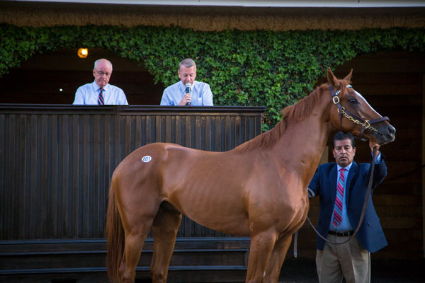 Del Mar Paddock Sale