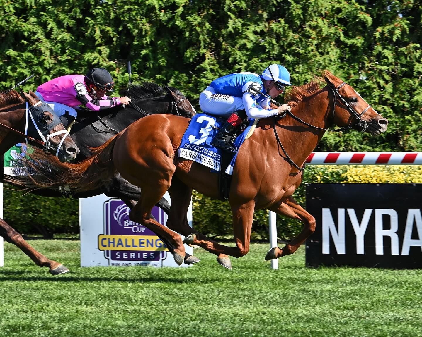 Carson's Run | Coglianese Photo