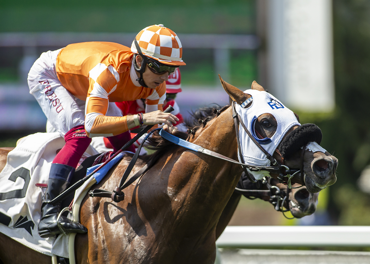 King of Gosford | Benoit Photo