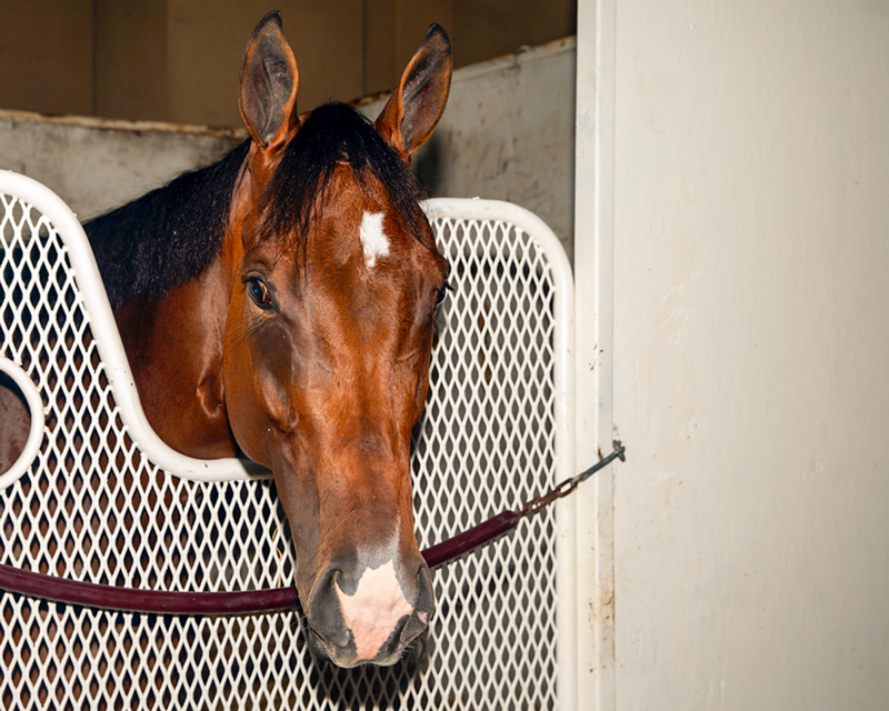 Pretty Mischievous | Benoit Photo