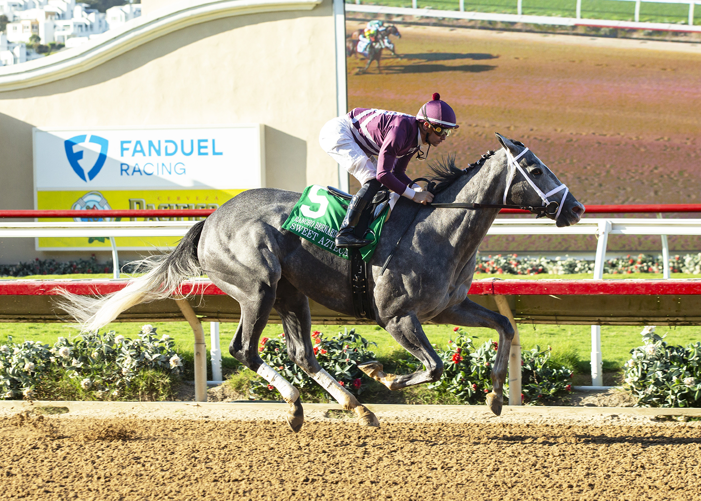 Sweet Azteca | Benoit Photo