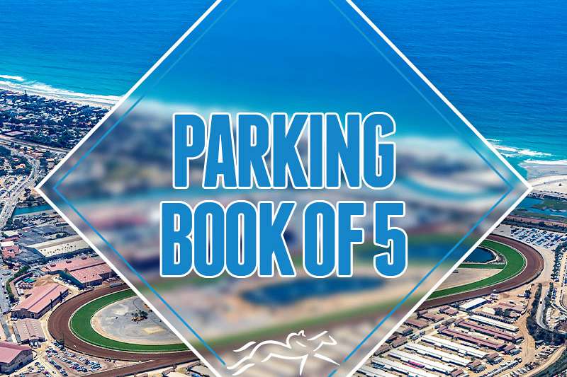 Discounted Parking Book