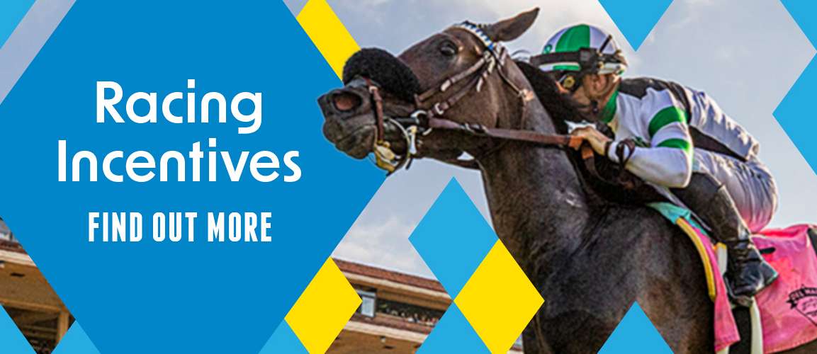 Racing Incentives